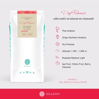 Hillkoff : เมล็ดกาแฟคั่ว อาราบิก้า คั่วกลาง ฮิลล์คอฟฟ์ (Dry Process) Arabica 100% กาแฟ อราบิก้า เมล็ดกาแฟ เม็ดกาแฟ