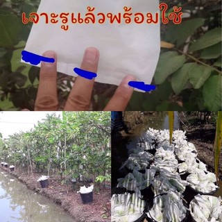 ถุงห่อผลไม้ขนาด 6*12 จำนวน 1 แพ็ค