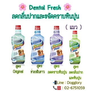 Dental Fresh : น้ำยาดับกลิ่นปากหมา และยับยั้งการเกิดหินปูนของสัตว์เลี้ยง