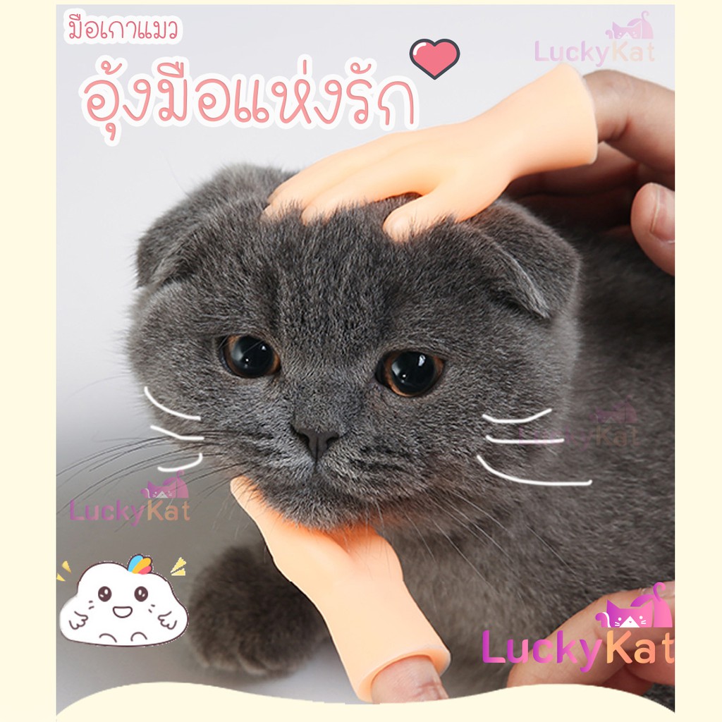 ของเล่นแมว ชุดสัตว์เลี้ยง มือสำหรับถ่ายรูปสัตว์ 1ข้าง
