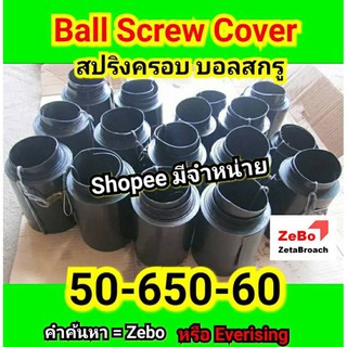 Spring Cover Ball screw (สปริงครอบบอลสกรู) ขนาด 50-650-60