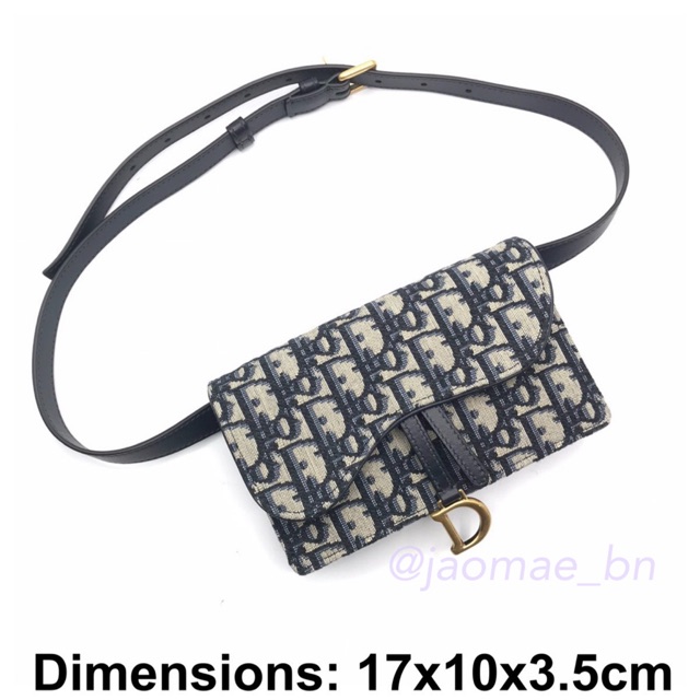 New Christian Dior Belt Bag