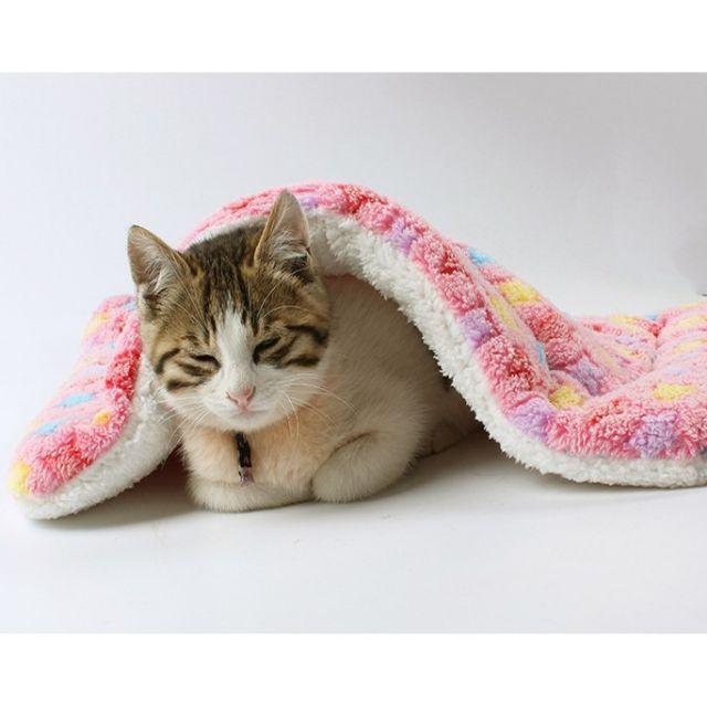 📌พร้อมส่ง ผ้าขนแกะที่นอนน้องหมาแมว ใช้ปูนอนในกรง ปูในรถเข็น ในกระเป๋า
