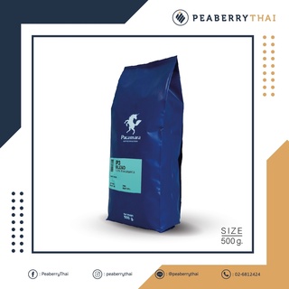 Pacamara P3 Blend 500g เมล็ดกาแฟไทย อาราบิก้า 100% คั่วเข้ม ขนาดบรรจุ 500 กรัม