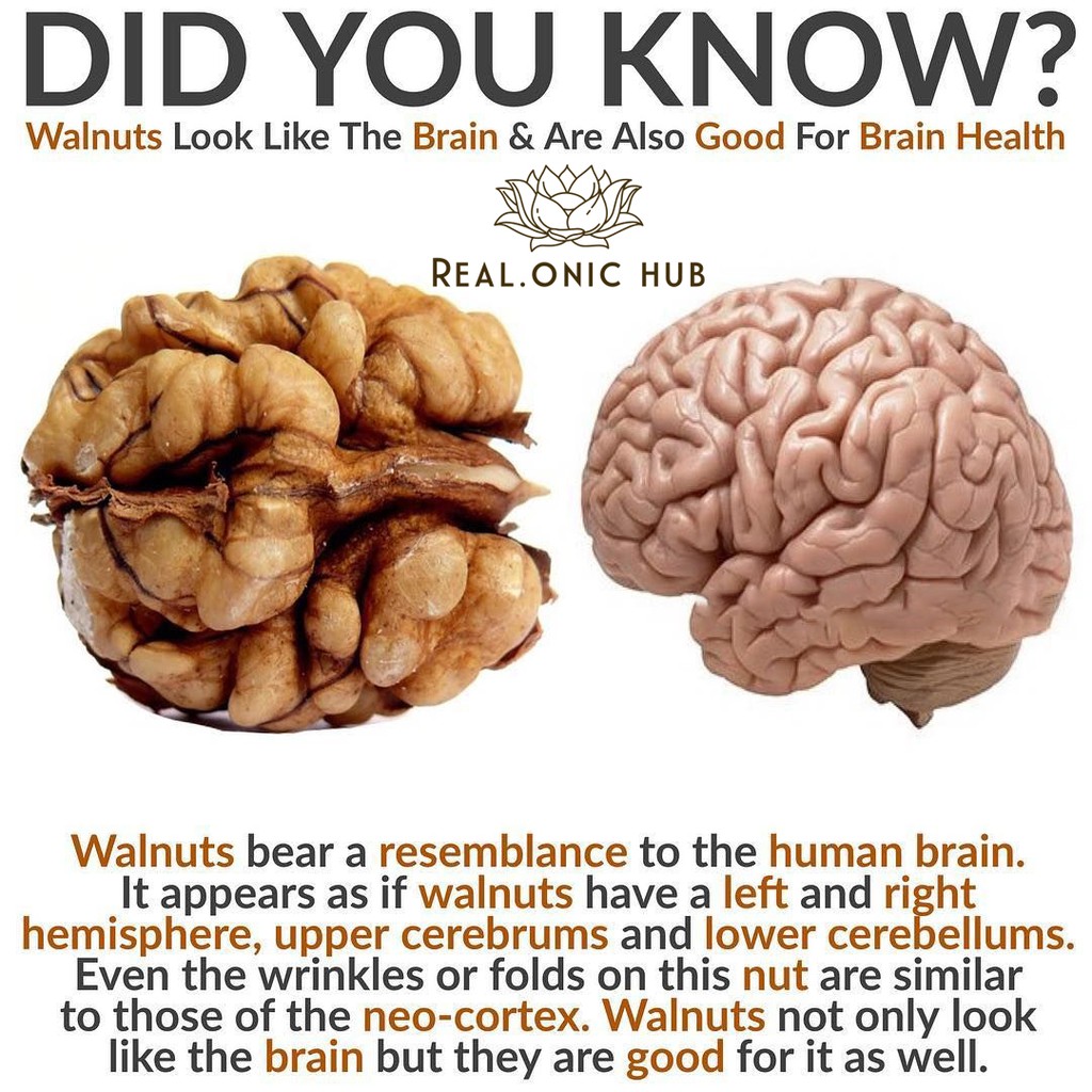 🎊ล๊อตใหม่ 😍 ถั่ววอลนัท ดิบ เม็ดใหญ่ ไม่ขม 😍 Raw Premium Big Walnut / No Bitter 💝 USA 💝 Natural 100% - รูปที่ 4