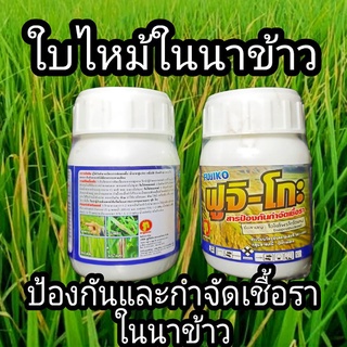 ฟูจิ-โกะ สารป้องกันและกำจัดเชื้อรา โรคใบไหม้ในนาข้าว