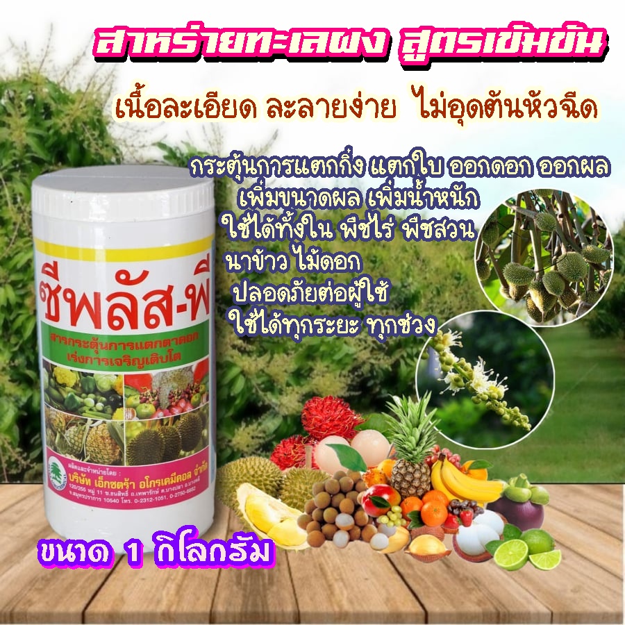 สาหร่ายทะเลผง (1กิโลกรัม) ซีพลัส-พี กระตุ้นแตกตาใบเปิดตาดอก ฟื้นต้นหลังเก็บเกี่ยว เพิ่มขนาดผล เพิ่มน้ำหนัก ขยายผล