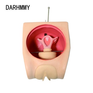 ♝☏DARHMMY Advanced Birth Control Model, Family Planning Education Model, Contraception Simulator, IUD Model