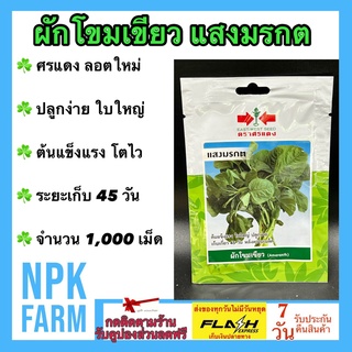 ผักซอง ศรแดง ผักโขมเขียว แสงมรกต จำนวน 1,000 เมล็ด/ซอง เมล็ดพันธุ์ ลอตใหม่ งอกดี ปลูกง่าย ใบใหญ่ ต้นแข็งแรง