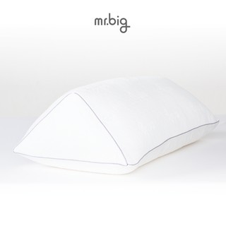 mr.big Leg Pillow หมอนรองขา เพื่อผ่อนคลายกล้ามเนื้อขา,หลังและเข่า