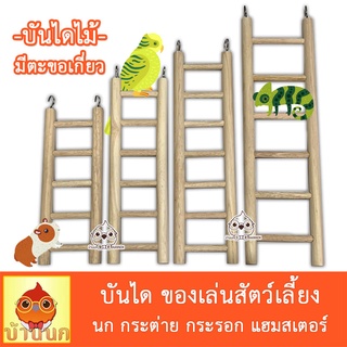 บันไดไม้ ของเล่นสัตว์เลี้ยง ของเล่นนก กระรอก กระต่าย นก หนู ชูก้า แฮมสเตอร์ wooden stair pet toy parrot