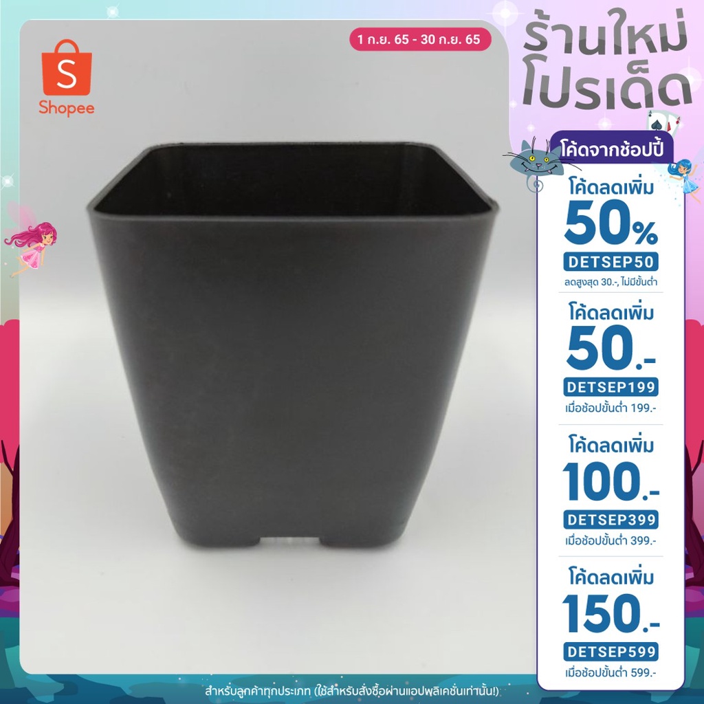 (ลด50% โค้ด DETSEP50) กระถางสี่เหลี่ยม 4 นิ้ว กระบองเพชร แคคตัส