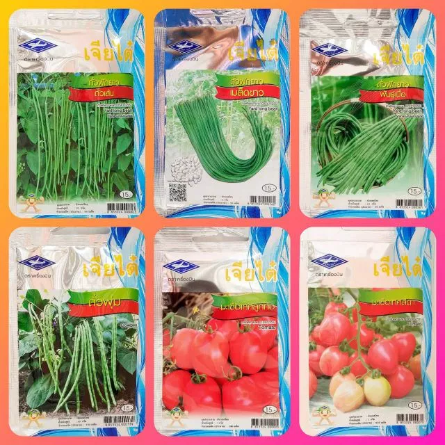 เมล็ดพันธุ์ผัก เจียไต๋ ผักซอง ถั่วฝักยาว ถั่วเนื้อ ถั่วพุ่ม มะเขือเทศลูกท้อ มะเขือเทศสีดา ถั่วปี อีเป๋อ