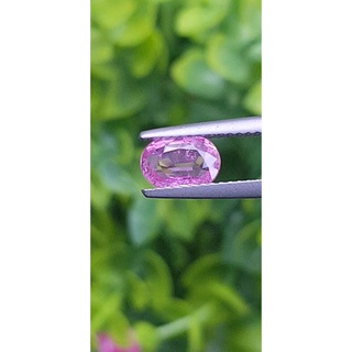 พลอย ชมพู พิ้ง แซฟไฟร์ Pink Sapphire ดิบ Unheated 1.05 กะรัต (Cts.) พร้อมใบเซอร์ พลอยแท้ อัญมณีมงคลประจําวันเกิด