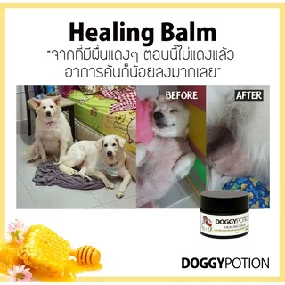 Doggy Potion Healing Balm ขนาด 20g