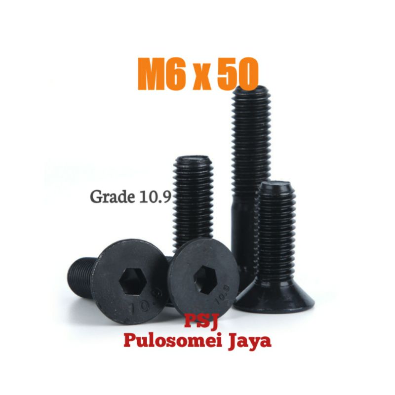 JF L กลอนเหล็ก M6 x 50 / กลอนเหล็ก M6 x 50 / เกรด 10.9