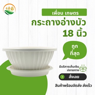 กระถางต้นไม้ใหญ่
 กระถางต้นไม้
 กระถางต้นไม้พลาสติก
 อ่างบัวโรมัน 18 นิ้ว จานรองกระถางต้นไม้ 15 นิ้ว สีขาว