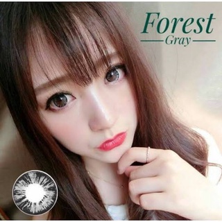 คอนแทคเลนส์ รุ่น Forest ยี่ห้อ Pretty doll แบ๊วๆ มีสี เทา ตาล สายตาปกติ