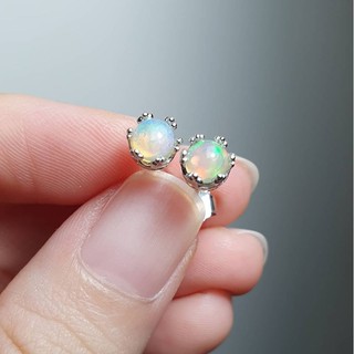 Crown Opal 5mm. Earrings