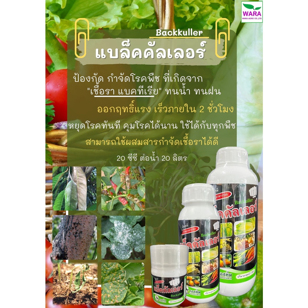 แบ็คคัลเลอร์ หยุดโรคทันที โรคเชื้อรา แบคทีเรีย ยาล้างเชื้อ แผลแห้งไว ทนฝน ผสมยาเชื้อราอื่นได้