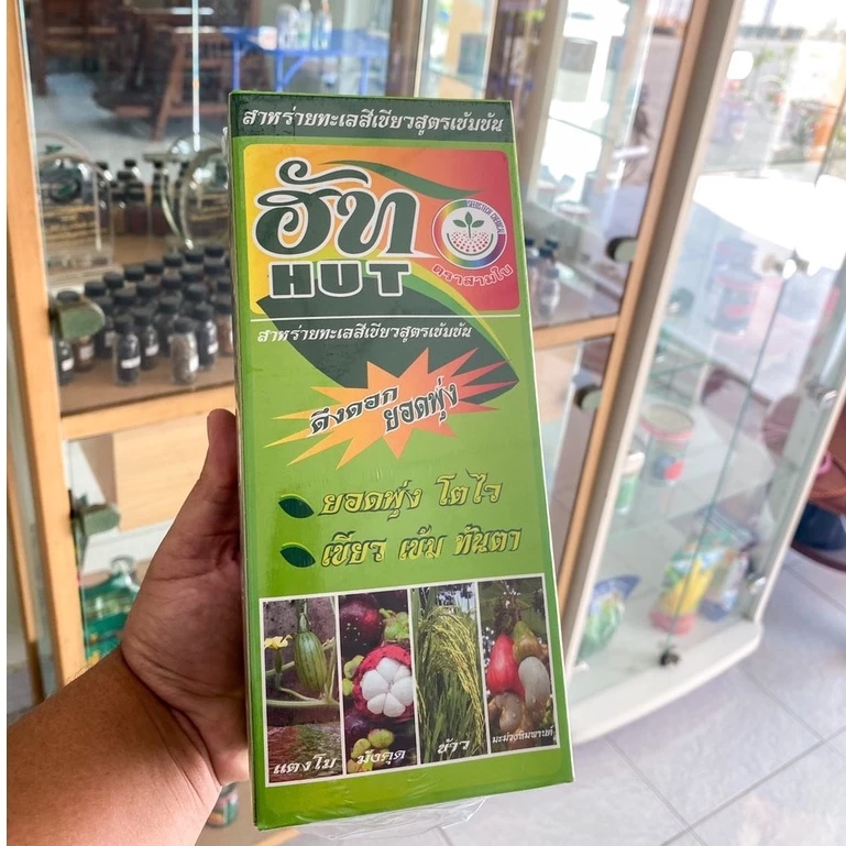 ฮัท (HUT) สาหร่ายทะเลสูตรเข้มข้น มีทั้งหมด 2 ขนาด