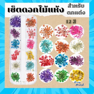 เซตดอกไม้แห้ง สำหรับแต่งเล็บ 12สี อุปกรณ์ทำเล็บ