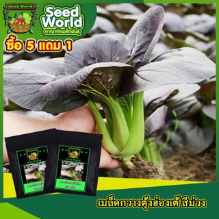 5แถม1เมล็ดกวางตุ้งฮ่องเต้ เบบี้สีม่วง100เมล็ด เมล็ดพันธุ์แท้ ปลูกง่าย ทรงสวย ปลูกได้ทุกฤดูกาล