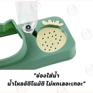 ชามให้อาหารพร้อมน้ำสำหรับสุนัขและแมว รูปสตอเบอร์รี่ แบบ1หลุม มาพร้อมกับขวดน้ำที่ให้น้ำอัตโนมัติ ML