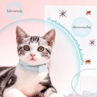 Petcho ปลอกคอกำจัดเห็บหมัด ปลอกคอแมว ปลอกคอสุนัข ปลอดภัย ป้องกันได้ยาวนาน ปลอกคอสัตว์เลี้ยง