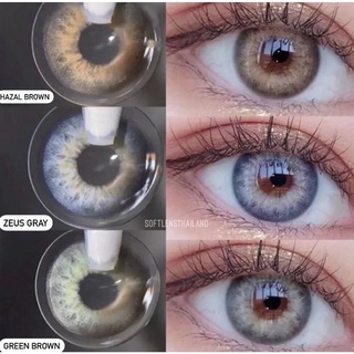 รุ่นMILD ยอดฮิตที่สุดSoftlens -คอนเเทคเลนส์รายปี - (idollens)