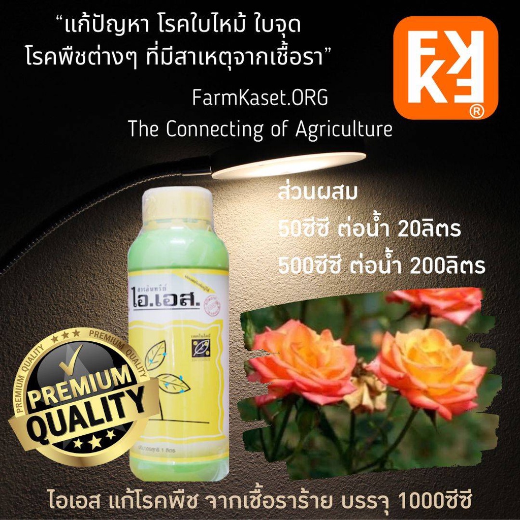 กุหลาบใบไหม้ กลีบแห้ง โรครา ใบเหลือง เพลี้ย หนอน ปุ๋ยกุหลาบ คุณภาพสูง (ใช้ได้ทุกพืช) เลือกซื้อจาก FK ฟาร์มเกษตร