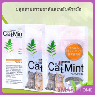 ผงแคทนิป &amp; ผงมาทาทาบิ ซองซิบ "พลาสติก"  ของแท้ 100% โรยของเล่นแมว 5g (พร้อมส่ง) Catnip