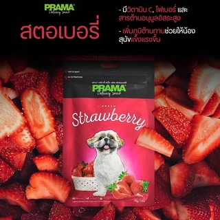[15รสชาติ] Prama ขนมสุนัข ขนาด 70 กรัม
