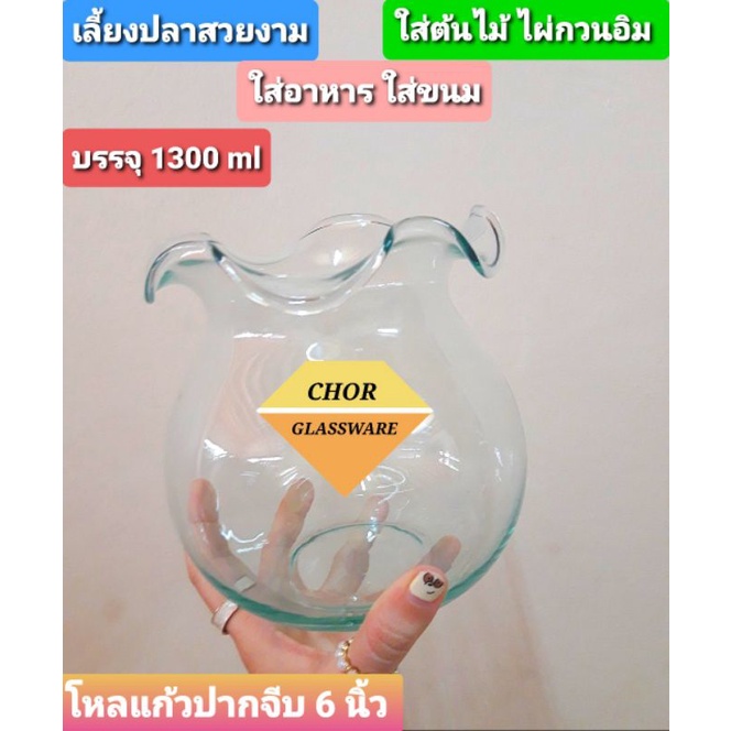 โหลแก้วเลี้ยงปลาปากหยัก ขนาด 6 นิ้ว (พร้อมส่ง 1300 ML) รูปที่ 5