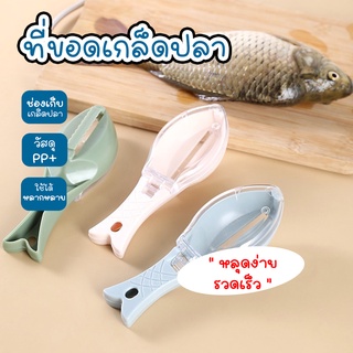 ที่ขอดเกล็ดปลา อุปกรณ์ครัว ที่ขูดเกล็ดปลา อุปกรณ์ขอดเกล็ดปลา  80347 มี 3 สี