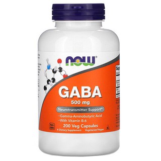 😴 กาบา คลายวิตกกังวล ลดความเครียด | NOW Foods GABA with Vitamin B-6, 500 mg