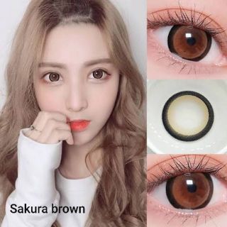 💖 Sakura Brown (1)(2) Pitchy ฝาแดง ตัดขอบสุดขีด บิ๊กอาย สีน้ำตาล คอนแทคเลนส์ สายตาปกติ แฟชั่น Contact Lens Bigeyes ตาโต