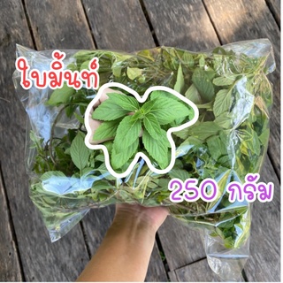 250 กรัม ใบมิ้นท์ มิ้น มิ้นท์ ปลอดสารพิษ