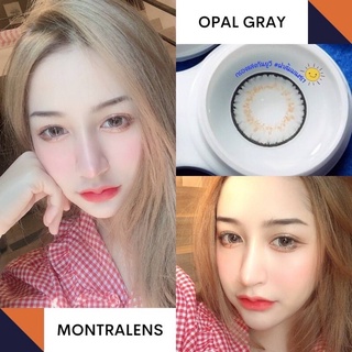 opal gray by montra สีเทาตาโตลายฮิต