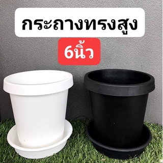 กระถาง ปากกลม 6นิ้ว ทรงสูงขอบพับ กระถาง 6 นิ้ว ทรงสูงกระถางปากพับ กระถางทรงสูง กระถางเลี้ยง ไม้กราฟ ไม้ใบ ทุกชนิด ทรง