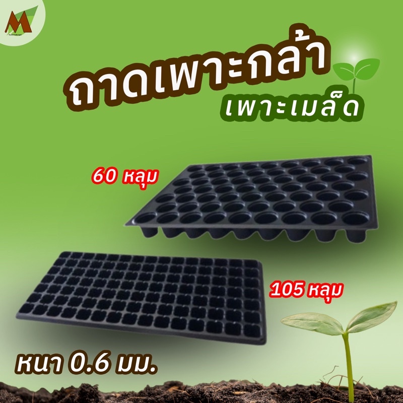 แพ็คละ 5 ใบ✅ ถาดเพาะชำ  ถาดเพาะเมล็ด ถาดเพาะกล้า ปลูกผัก 60 หลุม 105 หลุม