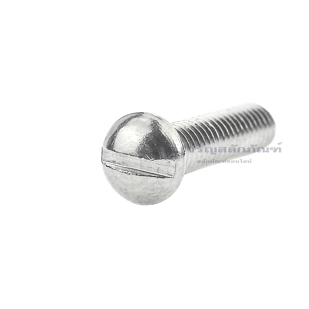 น็อตหัวร่มผ่าสแตนเลส ขนาด 5/32" 1/8" 3/16" สกรูหัวร่มผ่า หัวกะทะ หัวเห็ด Stainless Steel Phillip Trush Head Screw