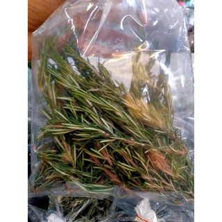 ใบโรสแมรี่ สด Rosemary Leaf 1 ถุง / 1 ขีด ใหม่ จากดอย