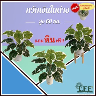 (( ร้านแนะนำ !!! )) ต้นกวักเงินใบด่าง สูง 70 ซม. ต้นไม้ปลอมตกแต่งบ้าน Leeartplants (๑)