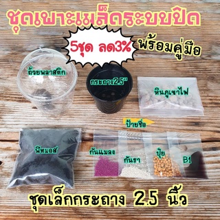 ❗5ชุด ลด3%❗ชุดเพาะเมล็ดระบบปิด กระถาง 2.5นิ้ว / 4นิ้ว เพาะแคคตัสไม้ต่างๆ ❌ไม่มีเมล็ดในชุดเพาะ ซื้อเพิ่มเติมได้จ้า❌