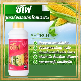 ปุ๋ยน้ำซีโฟ ปุ๋ยซีโฟ ขนาด 1000 ซีซี 1 ขวด บำรุงผล เร่งเติบโตผล ผลดกใหญ่ ยืดอายุการเก็บเกี่ยว ผลผลิตเพิ้ม