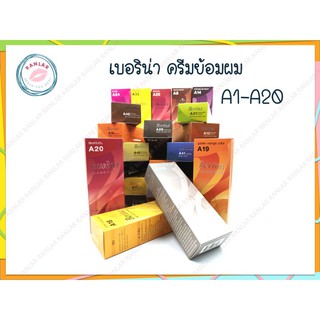 เบอริน่า ครีมย้อมผม A1-A20  (Berina Hair Color Cream A1-A20)