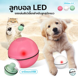 ลูกบอลแมว LED ชาร์จไฟได้ ของเล่นแมว USB ลูกบอลเรืองแสง