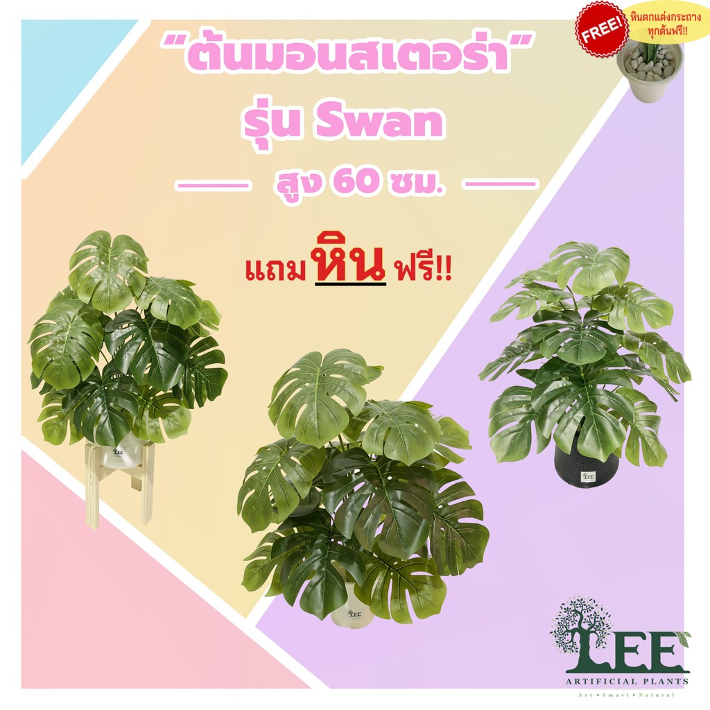 ( ใบใหญ่เยอะ !!!) ต้นมอนสเตอร่าปลอม สูง 70 ซม. รุ่น " SWAN 18 ใบ " พร้อมกระถาง+แถมหินขาว และ magnet ฟรี !!! Leeartplants