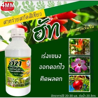 ฮัท ขนาด 1,000 ซีซี  สาหร่ายทะเลสีเขียวสูตรเข้มข้น